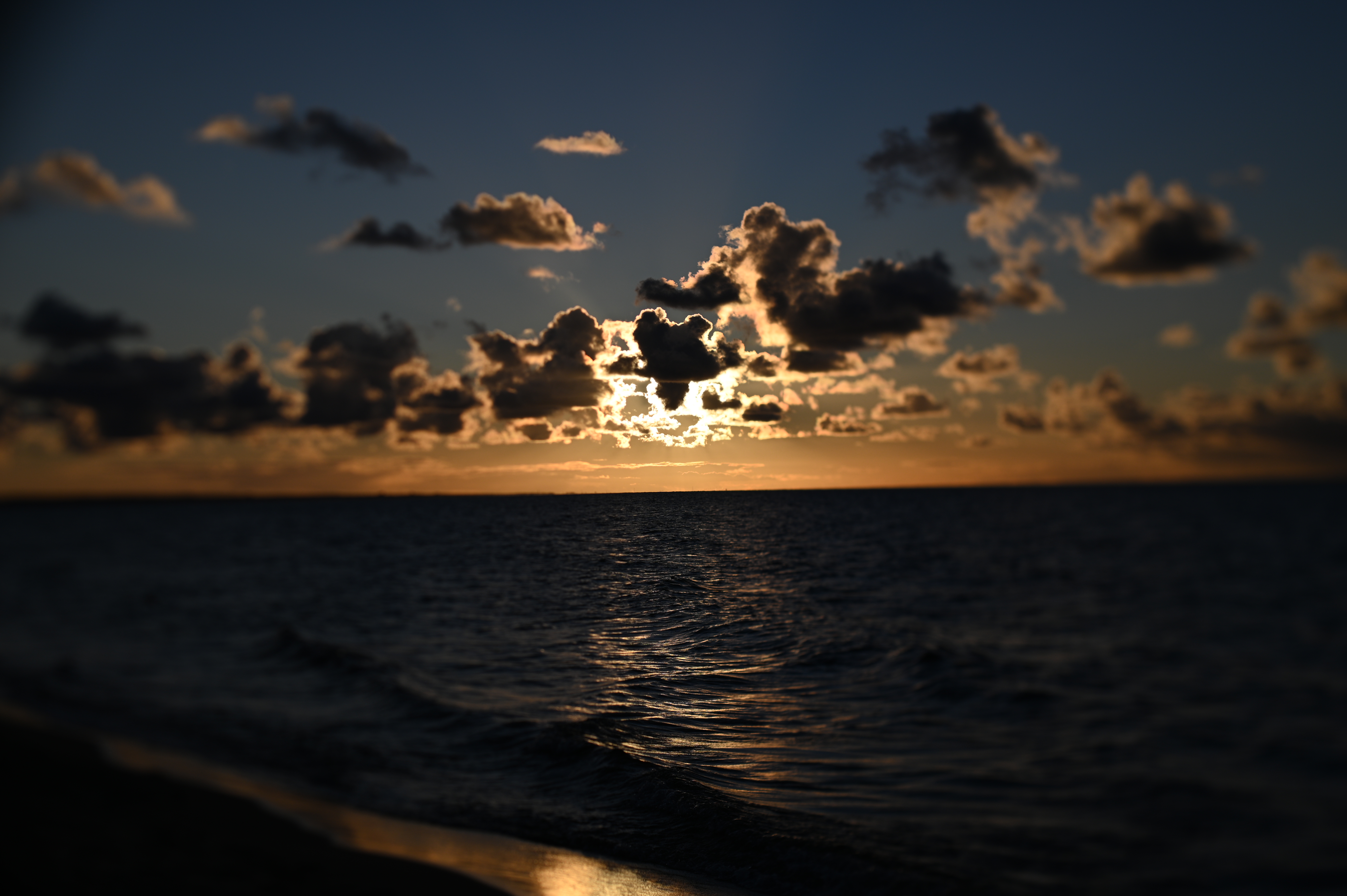 2025/10/18 - walk/DSC_0288.JPG